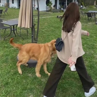 宝贝星球